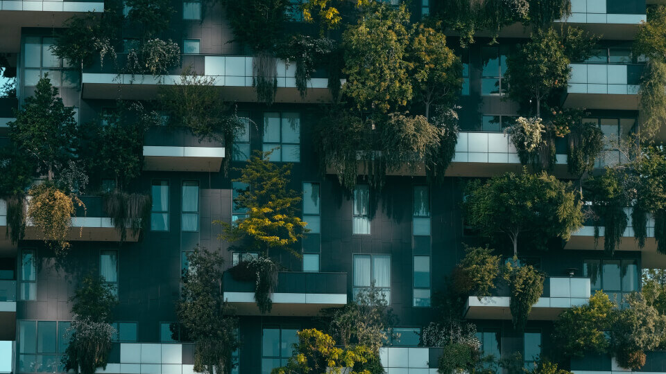 A building filled with plants